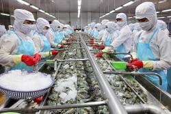 Xuất khẩu nông, lâm, thủy sản thu về gần 34 tỷ USD trong 6 tháng