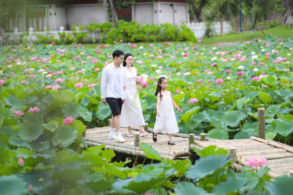 Hồ sen An Nhiên tại Sun World Ha Long
