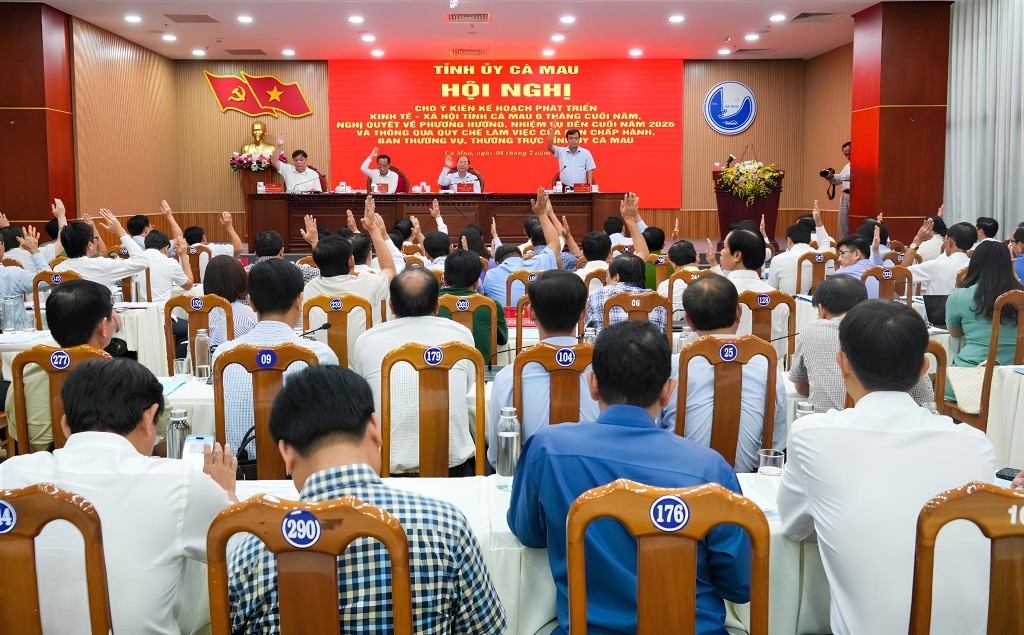 Đại biểu biểu quyết thông qua các chỉ tiêu, phương hướng hành động những tháng cuối năm của Ban Chấp hành Đảng bộ tỉnh.