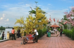 Quảng Ninh: Bảo tồn, cải tạo môi trường tại khu di tích Bạch Đằng