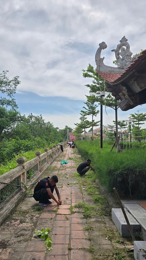 Quảng Ninh: Bảo tồn, cải tạo môi trường tại khu di tích Bạch Đằng