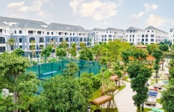 “Thị trấn bên biển” San Hô - Điểm vào chiến lược trước chu kỳ tăng giá mới
