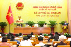 Sáng nay, HĐND TP Hà Nội chất vấn về an toàn thực phẩm