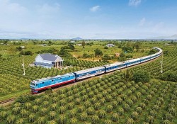 Triển khai kế hoạch giải phóng mặt bằng các dự án đường sắt