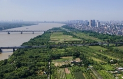 Quy định sử dụng, khai thác quỹ đất nông nghiệp bãi sông, bãi nổi