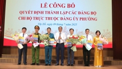 Thành lập các Đảng bộ, Chi bộ trực thuộc Đảng ủy phường Tây Hồ