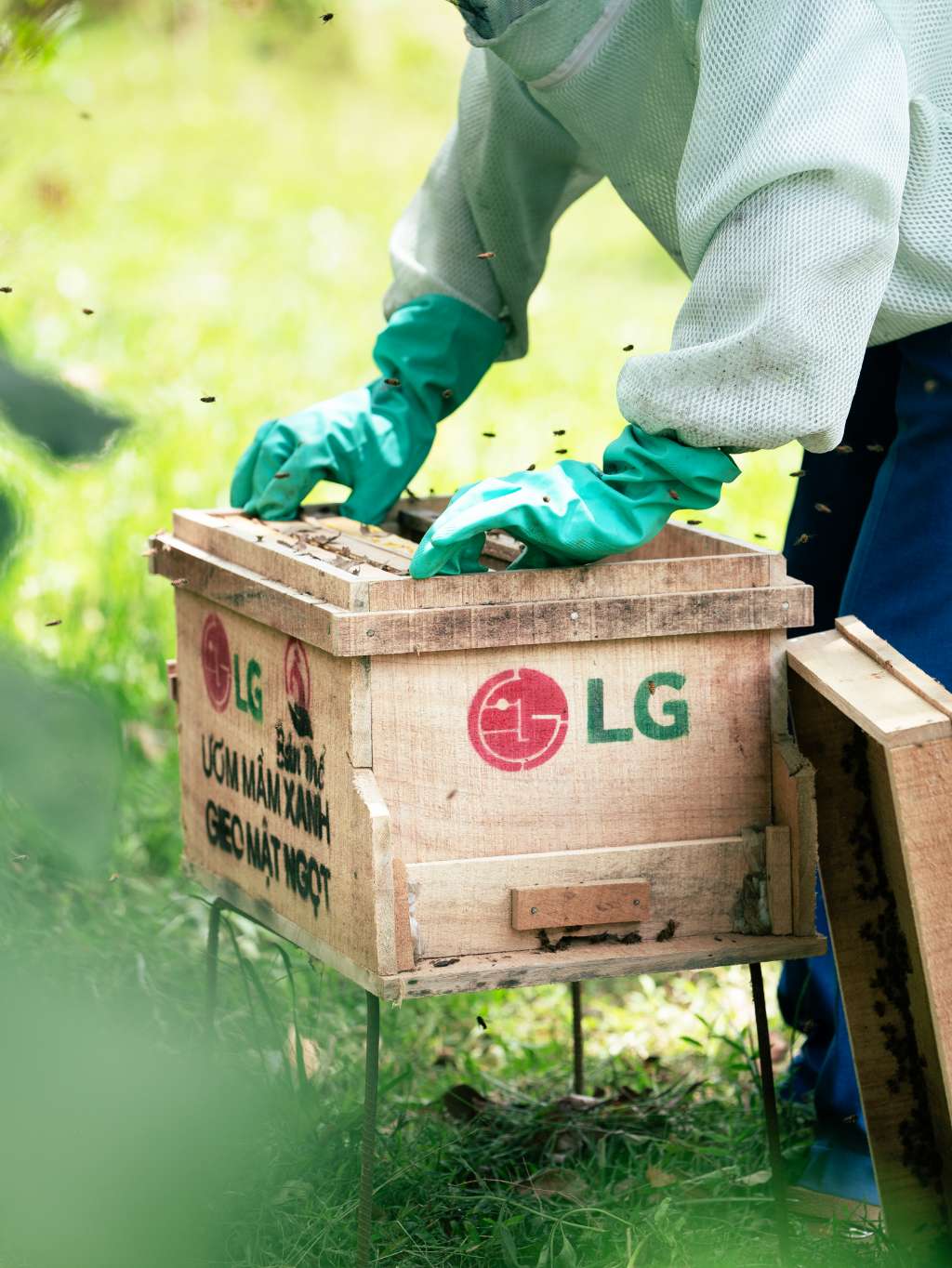LG Electronics Việt Nam triển khai dự án 