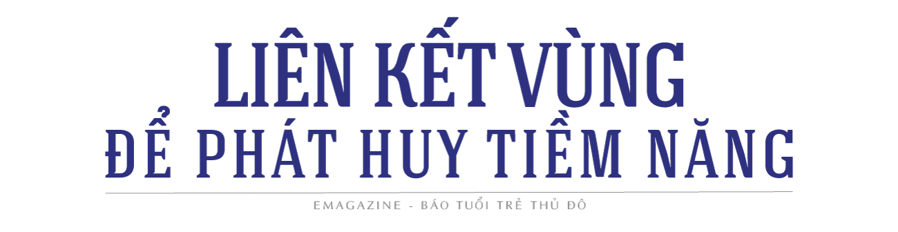 Bài 2: Hiện thực hoá sứ mệnh dẫn dắt và tư duy sáng tạo