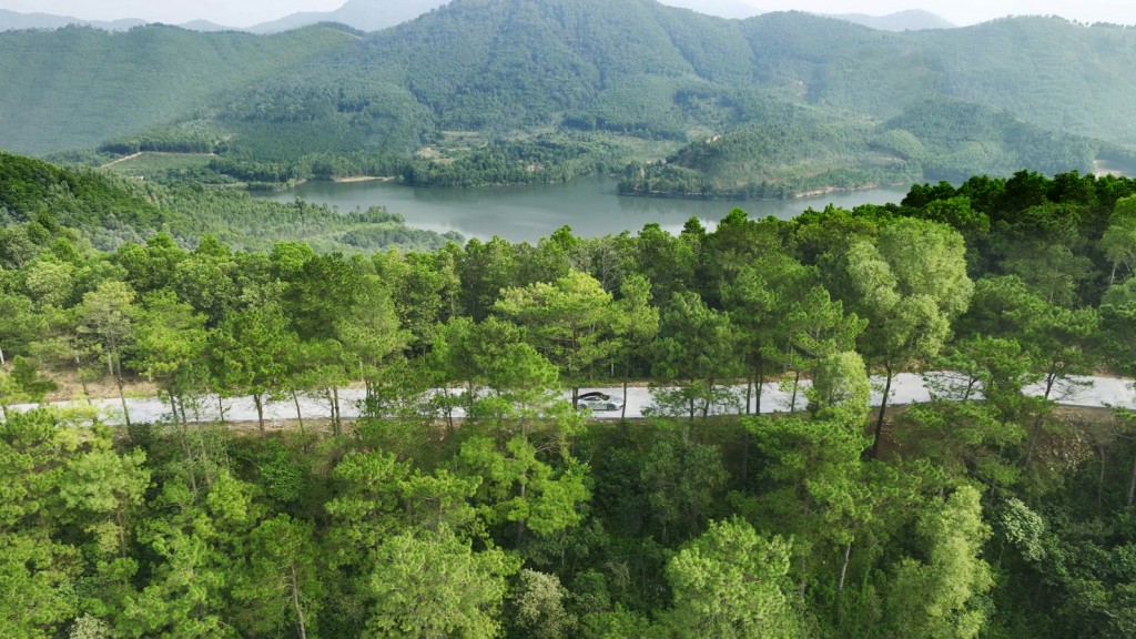 Bản quy hoạch Thanh Xuan Valley được thiết kế để giữ tối đa những tán thông hàng chục năm tuổi. Ảnh chụp thực tế tại Thanh Xuan Valley.