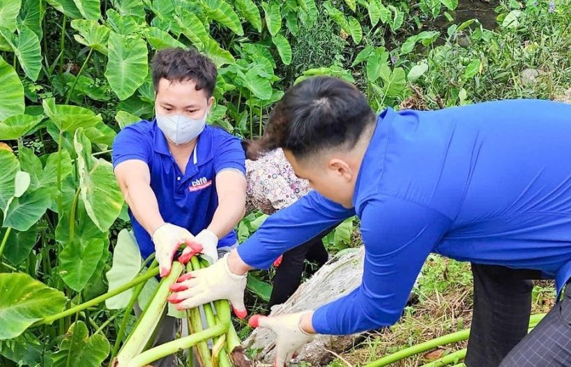 Thắp lên màu xanh tri ân giữa tháng Bảy nghĩa tình