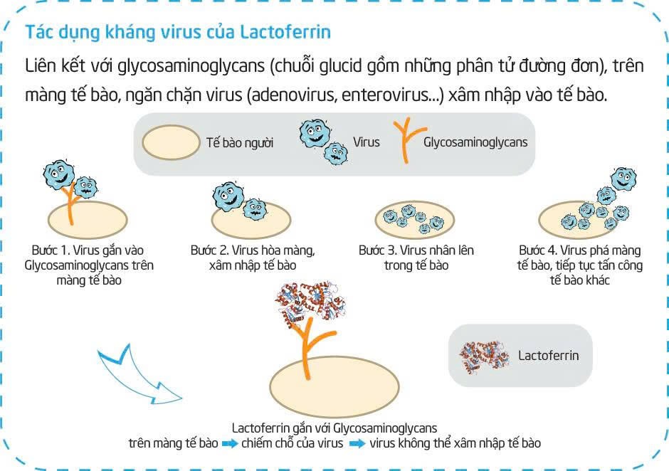 Tìm hiểu loại sữa công thức đang được nhiều mẹ “lùng sục” giúp trẻ khỏe mạnh, ít ốm vặt