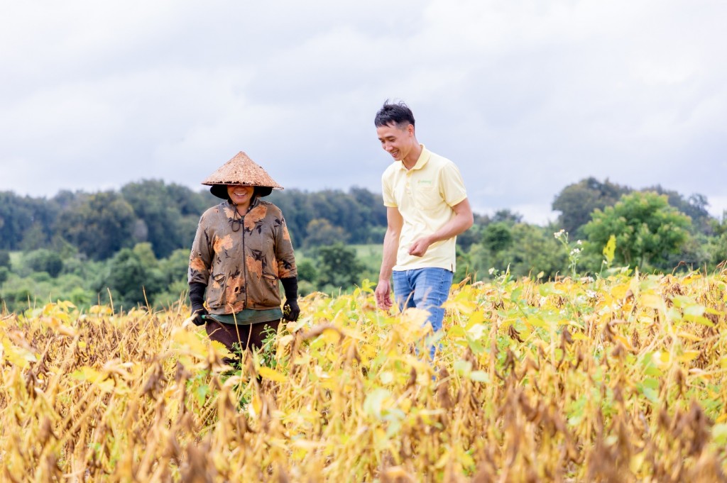 Một hạt đậu không thể đi xa nếu thiếu bàn tay người nông dân và sự trân quý với đất đai