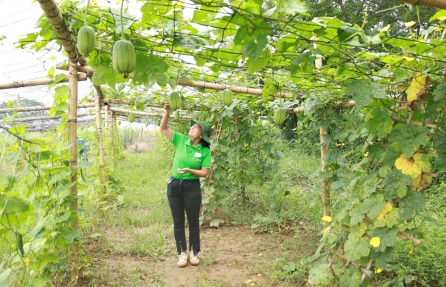 Xã đảo Minh Châu tập trung nguồn lực phát triển kinh tế, xã hội