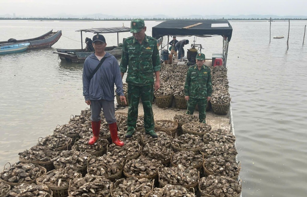 Xử lý vụ vận chuyển 4 tấn hàu sống không nguồn gốc