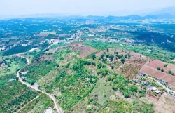 Lâm Đồng: "Đánh thức" hơn 75.000ha đất lâm nghiệp chưa có rừng