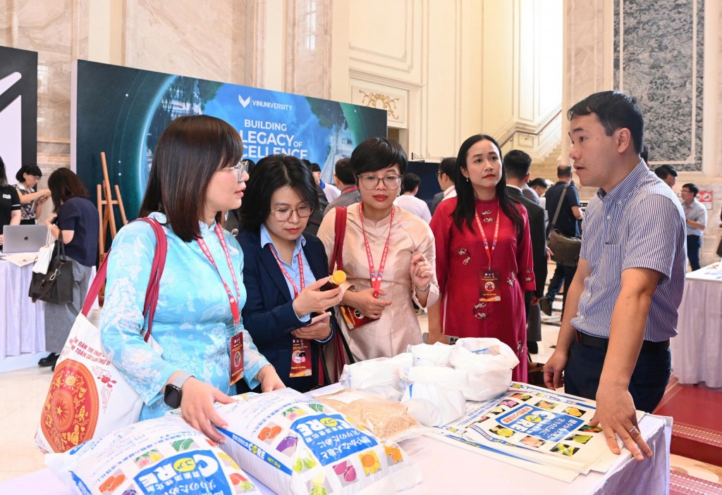 Trí thức trẻ