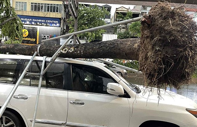 Công an Hà Nội đảm bảo an toàn cho người dân trong dông lốc