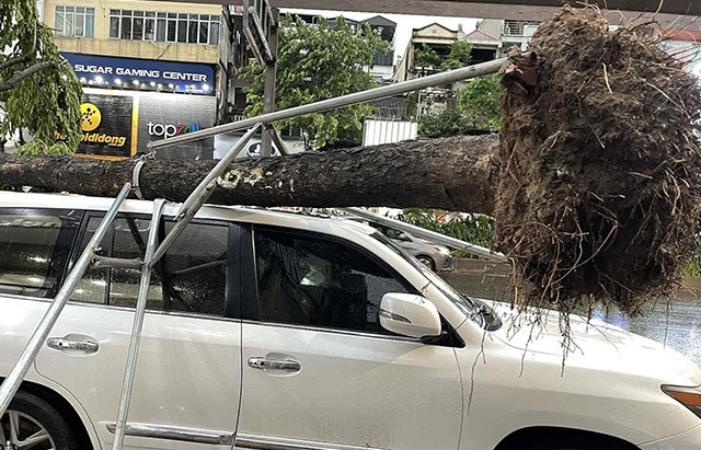 Công an Hà Nội đảm bảo an toàn cho người dân trong dông lốc