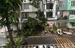 Hà Nội sẵn sàng ứng phó với bão và nguy cơ mưa lớn