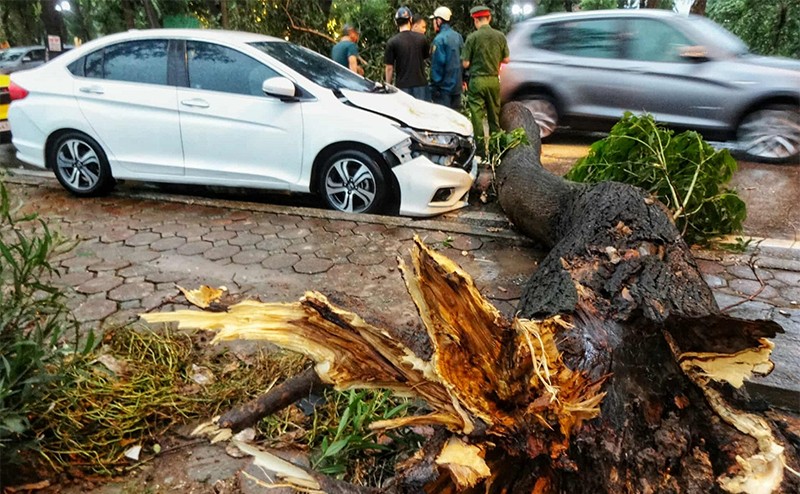 Công an Hà Nội đảm bảo an toàn cho người dân trong dông lốc