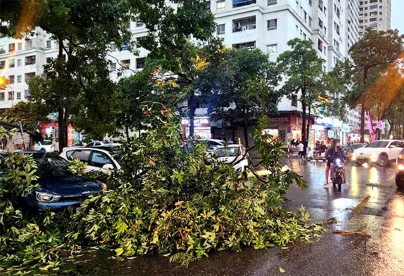 Công an Hà Nội đảm bảo an toàn cho người dân trong dông lốc