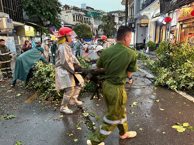 Lực lượng chức năng phường Hoàn Kiếm nhanh chóng có mặt tại một “điểm nóng” cắt hạ cây xanh, giải phóng hiện trường