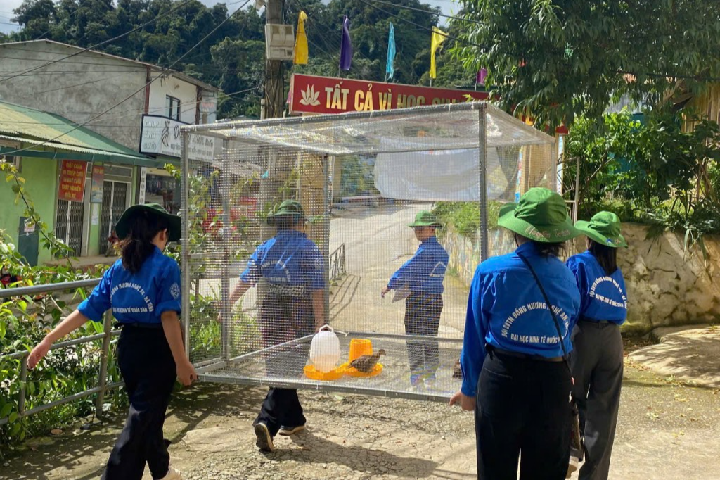 Chuyển giao mô hình kinh tế nuôi chim trĩ cho người dân 