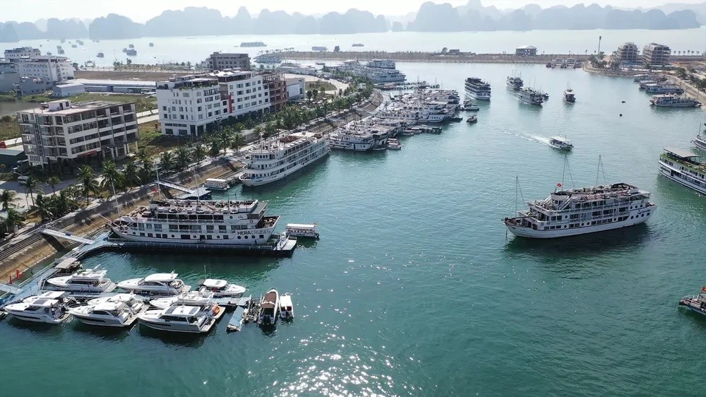 Quảng Ninh tạm dừng cấp phép rời cảng đối với tàu du lịch, tàu khách từ 20-7.