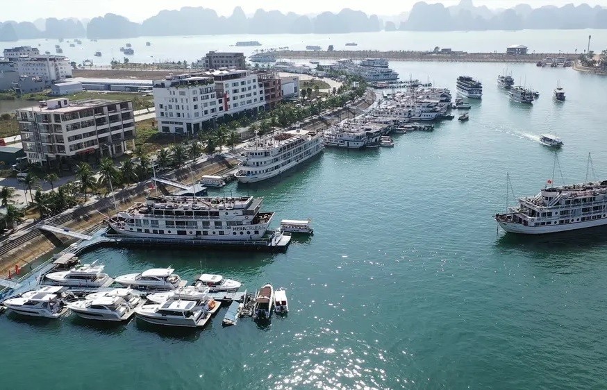 Quảng Ninh dừng cấp phép rời cảng đối với tàu du lịch