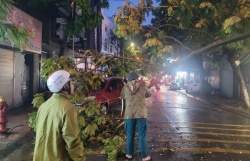 Khẩn trương ứng phó mưa bão, khắc phục hậu quả cơn dông chiều 19/7