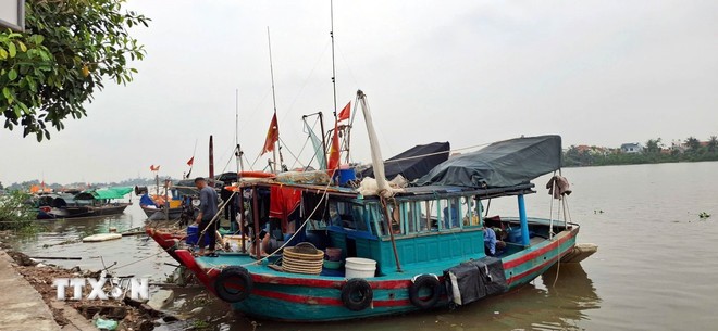 Các tàu đánh cá vào tránh trú bão tại khu vực bến Chanh, phường Quảng Yên, tỉnh Quảng Ninh. (Ảnh: Đức Hiếu/TTXVN)