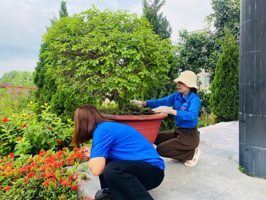 Tuổi trẻ xã Bát Tràng ra quân 