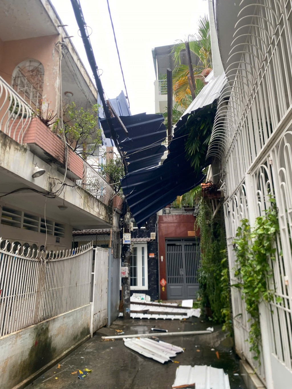 TP Hồ Chí Minh hỗ trợ người dân bị ảnh hưởng bởi lốc xoáy