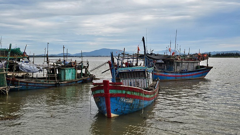Ảnh minh họa