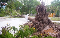 Thành phố Hà Nội kích hoạt ứng phó khẩn cấp bão số 3