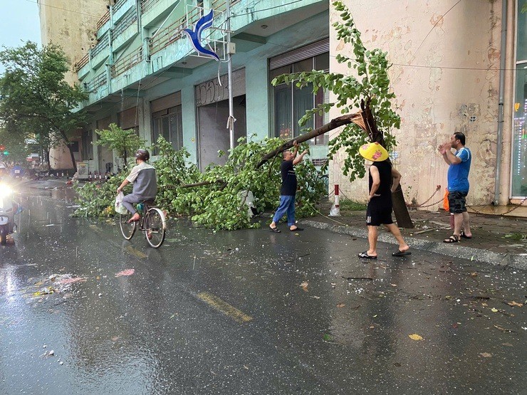 UBND xã Thanh Trì ứng trực 24/24h để phòng, chống bão số 3