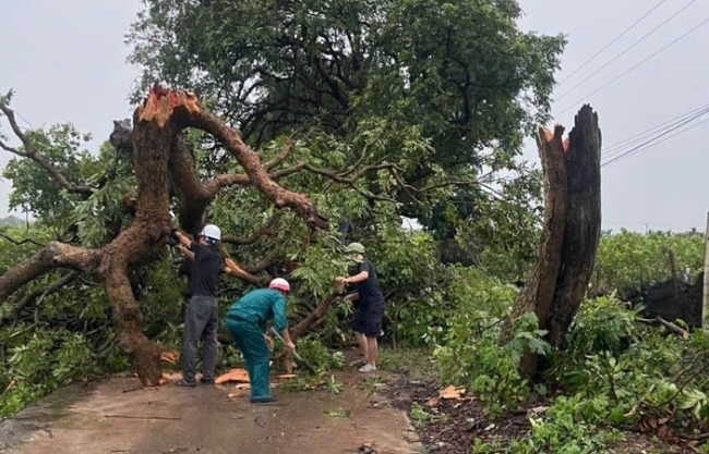 Không để bị động trong phòng chống bão số 3