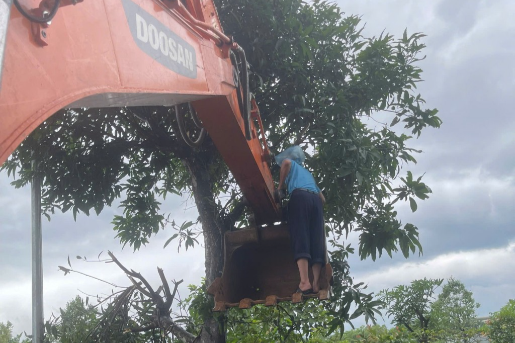 Phản ứng nhanh, chủ động cùng người dân ứng phó với bão số 3