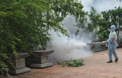 Nguy cơ gia tăng ca mắc sốt xuất huyết trong mùa mưa bão