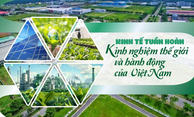 Kinh tế tuần hoàn - Kinh nghiệm thế giới và hành động Việt Nam