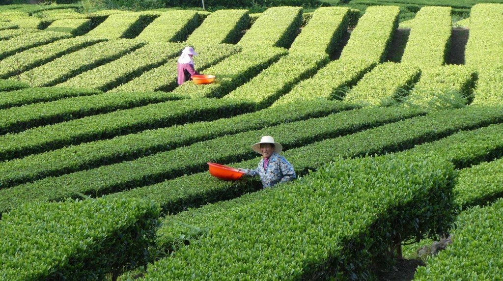 Kinh tế tuần hoàn - Kinh nghiệm thế giới và hành động Việt Nam