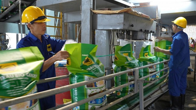 Hành trình đưa "vi sinh vật" vào phân bón Đầu Trâu Bio-Canxi