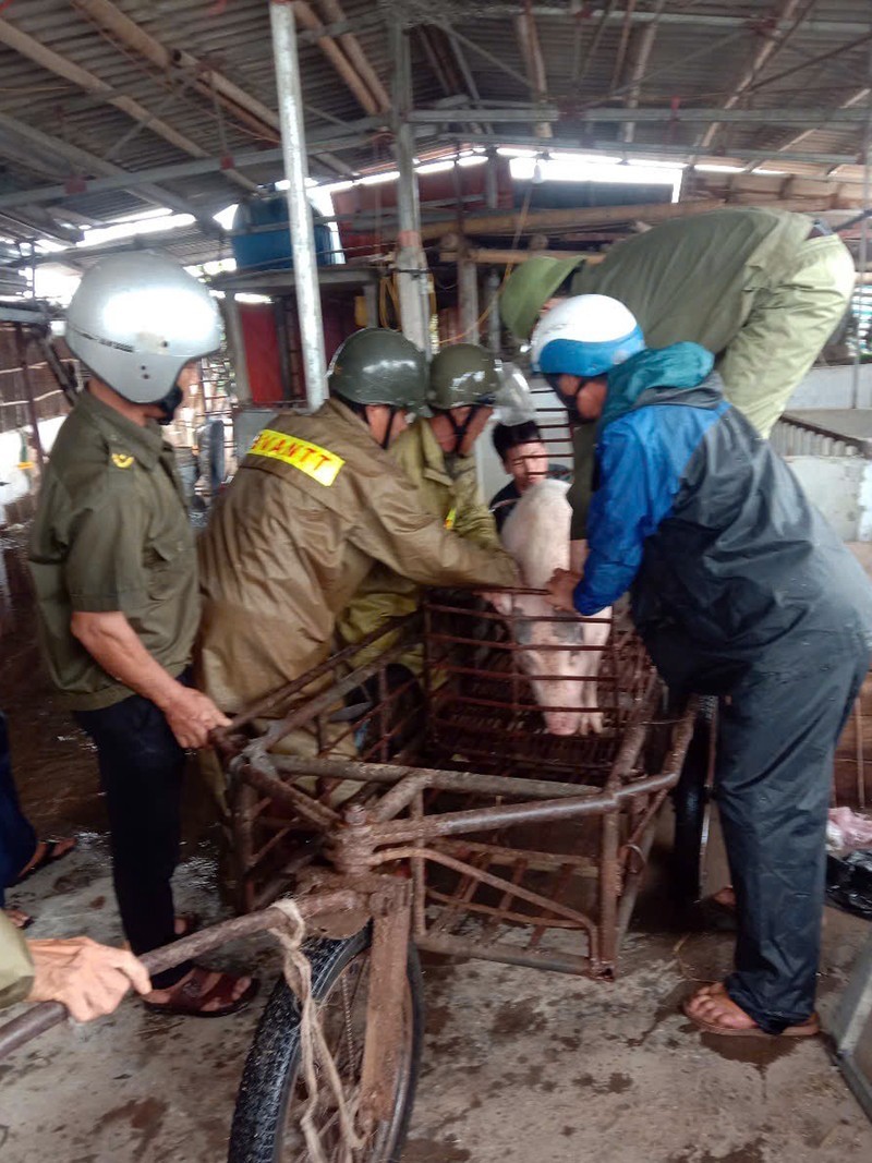 Hải Phòng: Khẩn trương khắc phục hậu quả sau cơn bão số 3