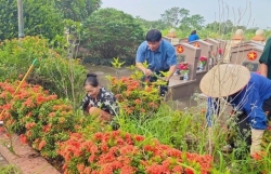 Bảo vệ bầu không khí xanh cho Hà Nội