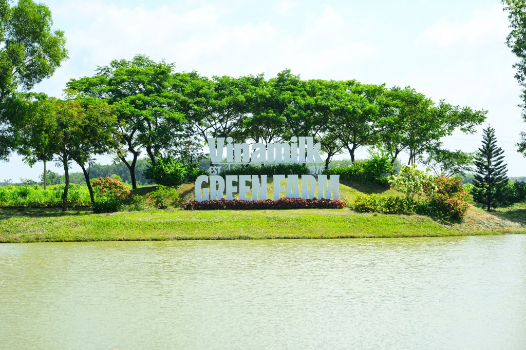 Ảnh: Quang Định