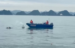 Quảng Ninh: Phát hiện thi thể nữ nghi là nạn nhân vụ lật tàu