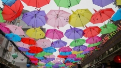 Hà Nội: Mùa Trung thu ấm áp