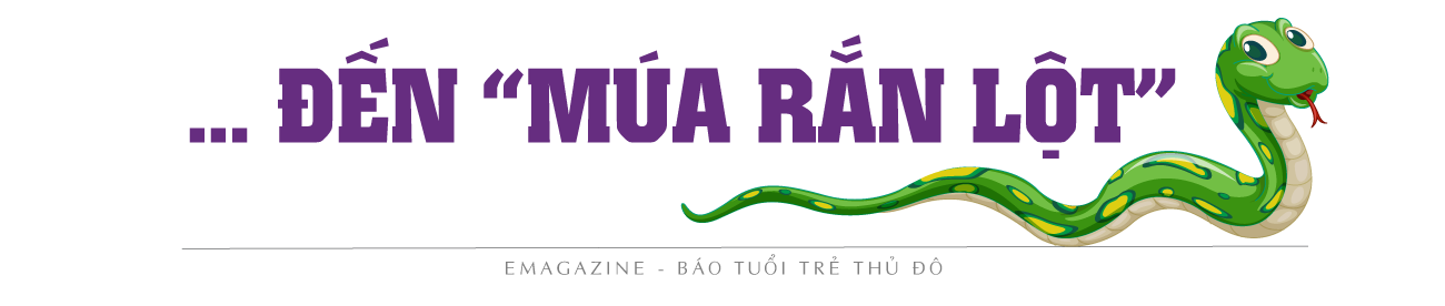 sân khấu lễ hội 2025