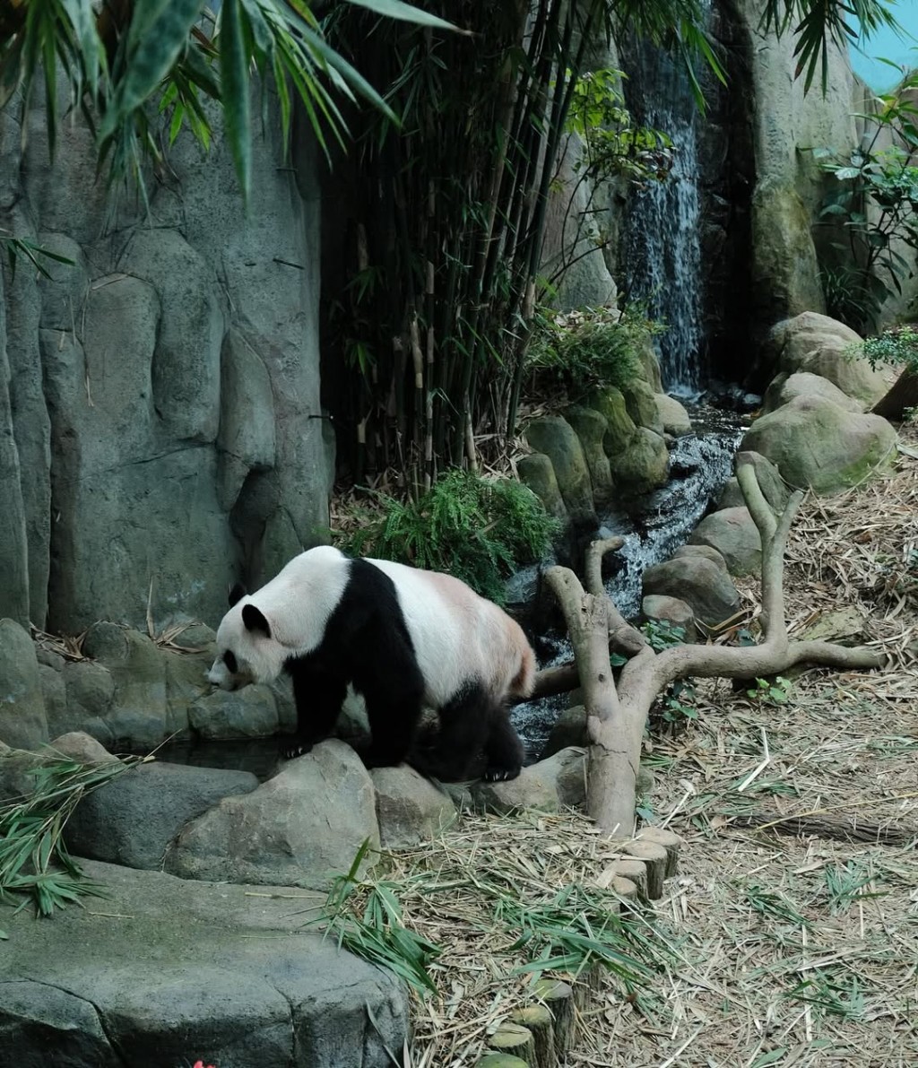 Gợi ý lịch trình cho gia đình có con nhỏ