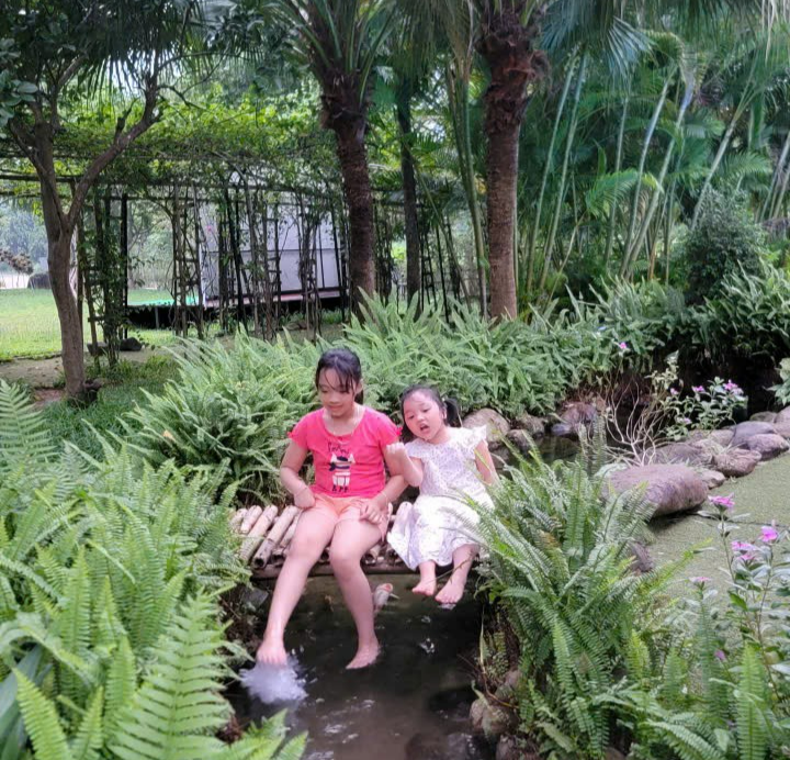 Thúc đẩy phát triển dược liệu sạch, nông nghiệp hữu cơ và du lịch cộng đồng